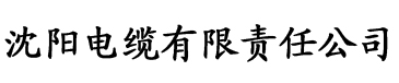 国产精品V欧美精品∨日韩电缆厂logo